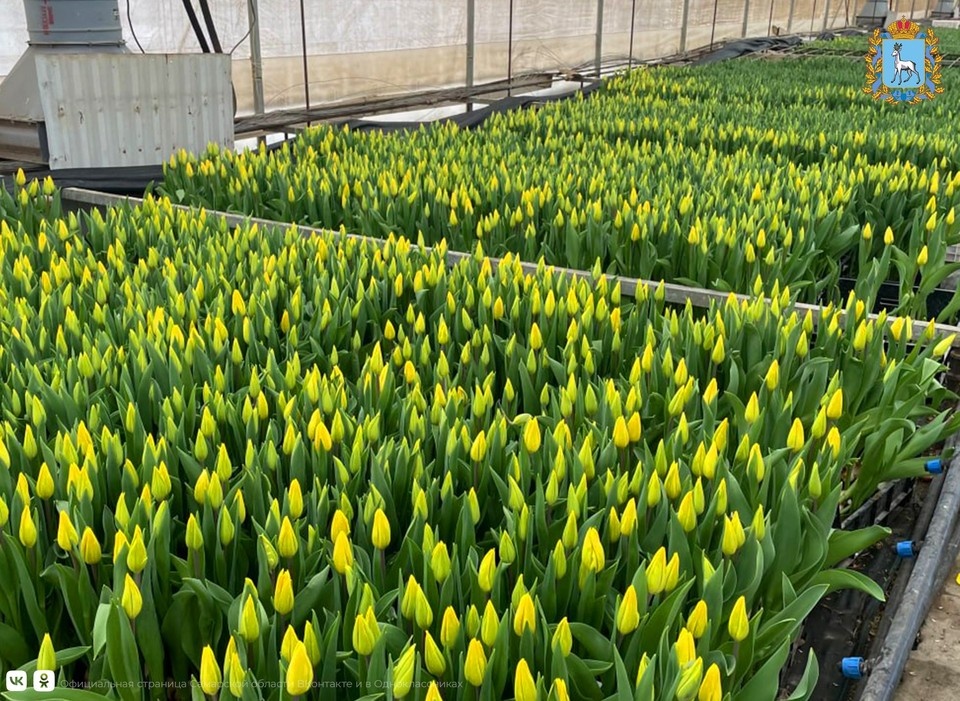    В Самарской области для бизнеса создана необходимая инфраструктура. Фото: Минэкономразвития Самарской области.