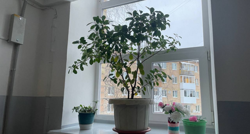    Автор фото - Анна Ефимова