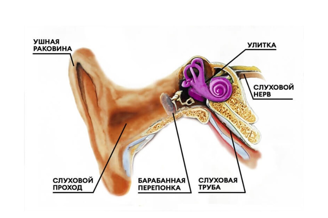 Фото из открытых источников. 