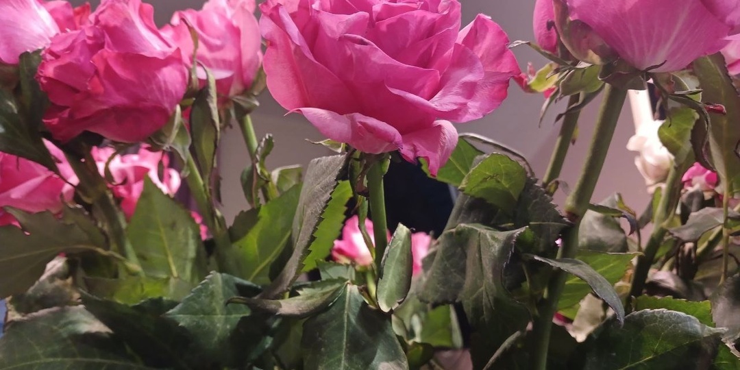 Перед 8 Марта появился новый способ мошенничества