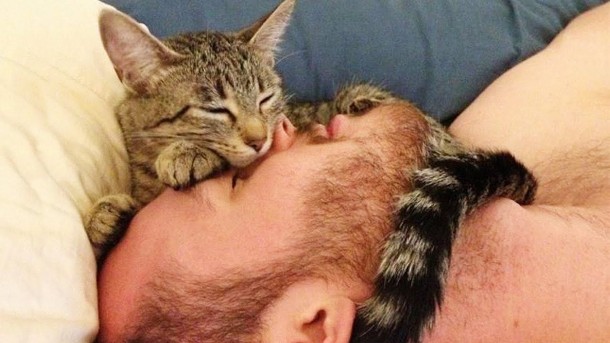 Фото Яндекс Картинки