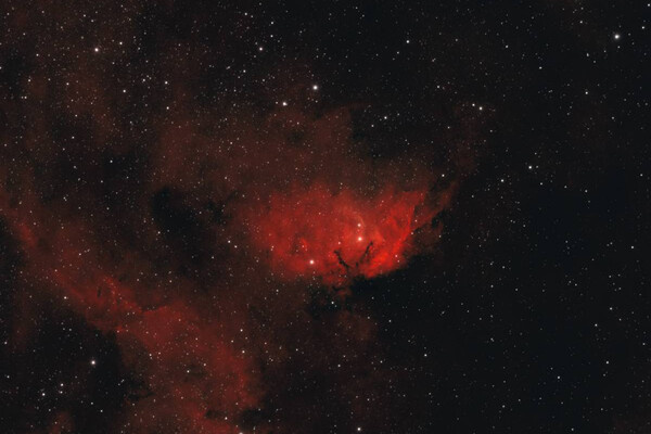 Роскосмос/Николай Вдовин   📷