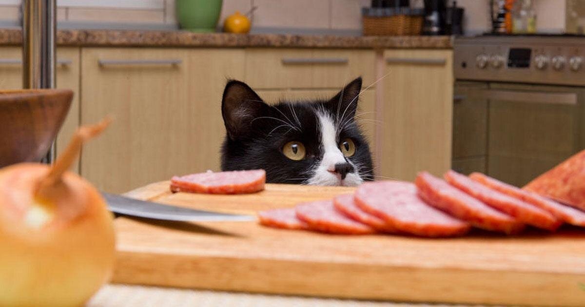 Фото Яндекс Картинки