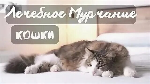 Фото Яндекс Картинки