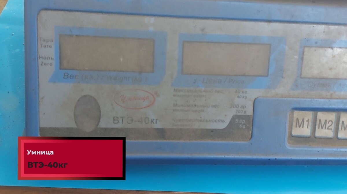 Умница ВТЭ-40кг