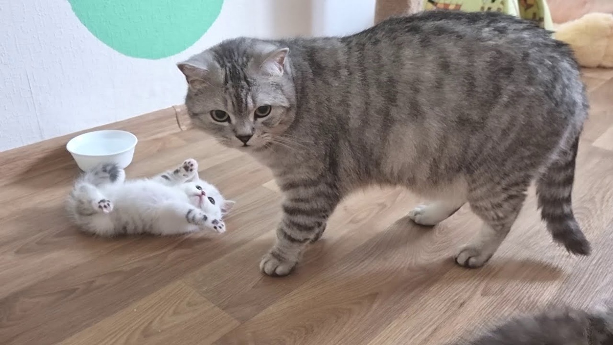 Фото Яндекс Картинки