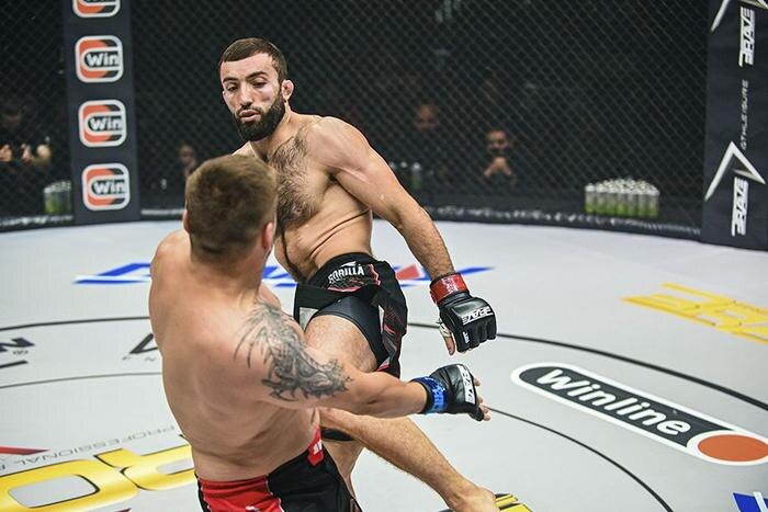 Обложка © bravecf