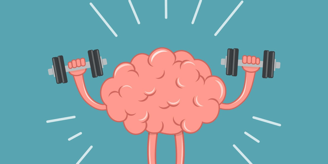 Можно ли развить память так же, как тренируют мышцы