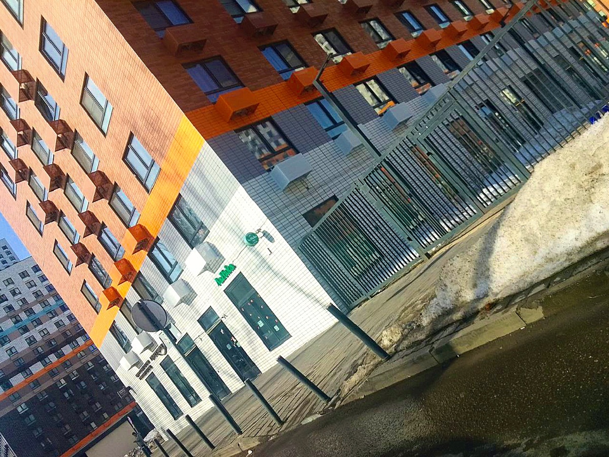 Тот самый человейник.