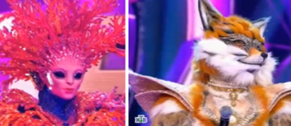 Фото взято из открытых источников