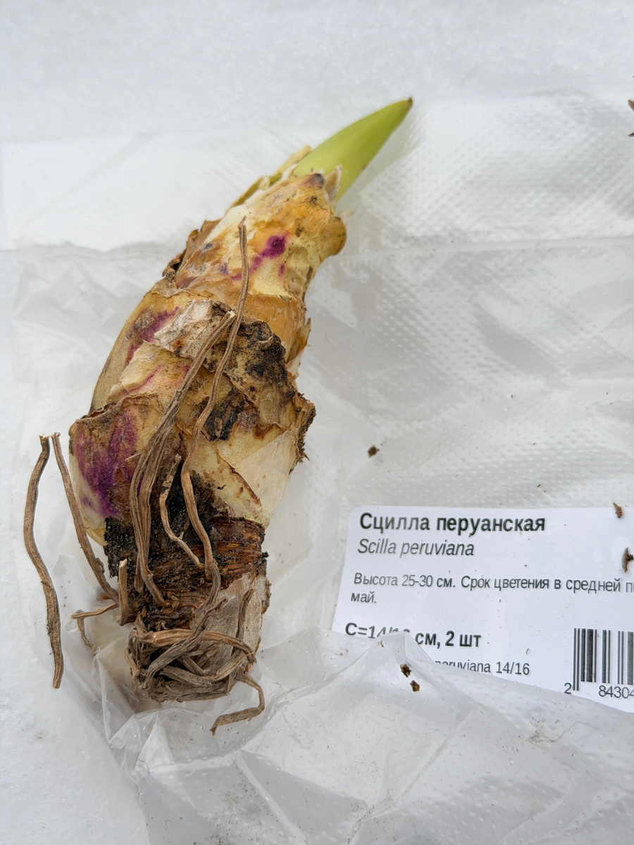 Вот такое полу-гербарное получил.