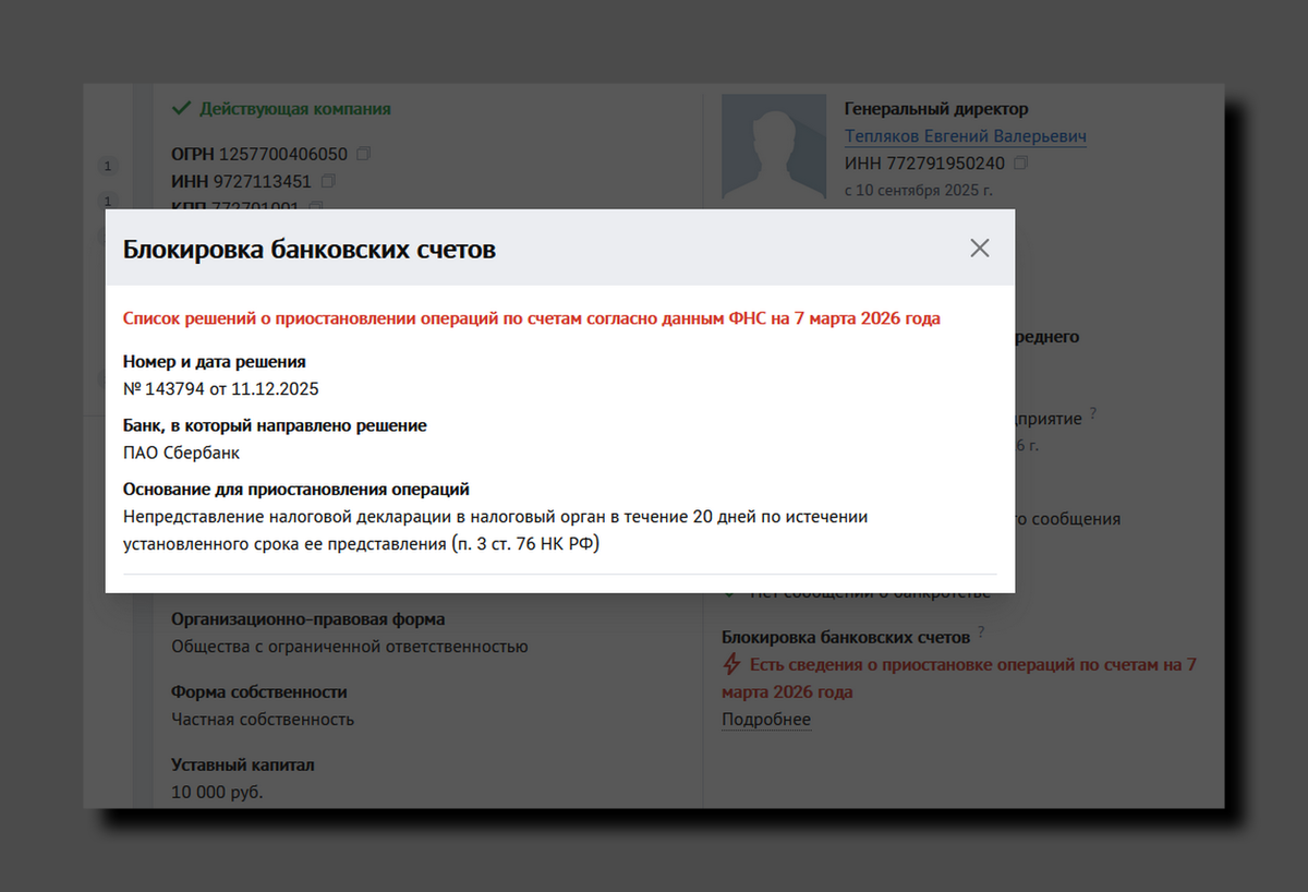 Скриншот https://checko.ru/company