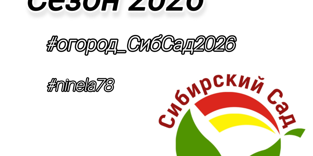 Семена перцев, всходы и первые листочки