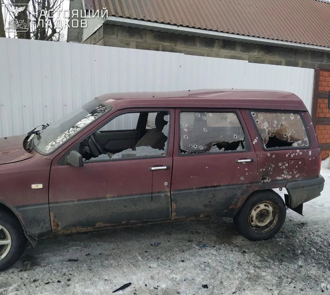    Фото: Вячеслав Гладков