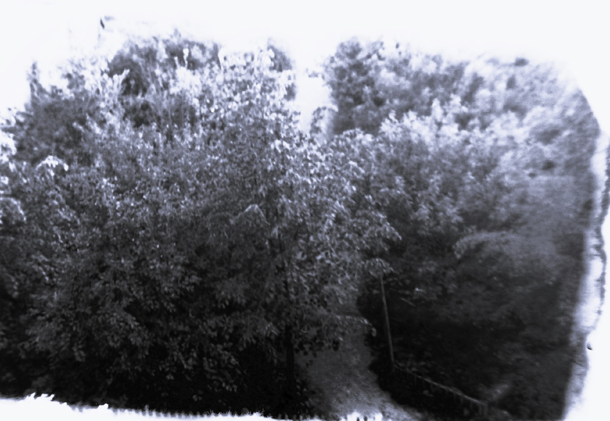 1. Плохо видно. Похоже что это вода верхнего водопада (?) в окружении деревьев. 