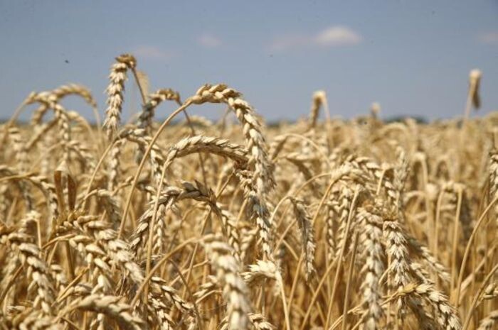 Иллюстрация: архив ПРО