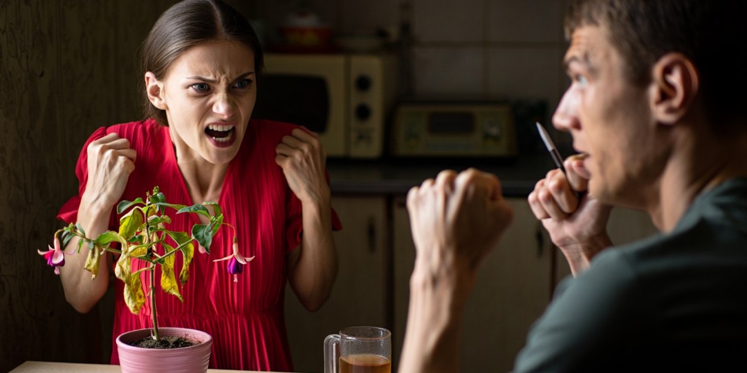 - То есть мне цветы не нужны, а коллегам ты тащишь букеты? — кричала жена, а сама в это время переписывала мой бизнес на себя