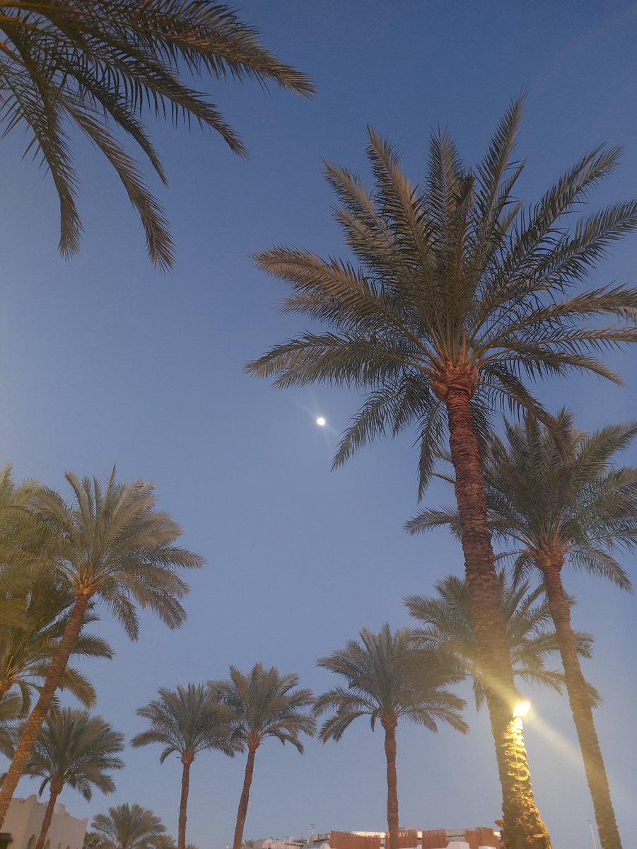 Ну какова красота! )))))))))