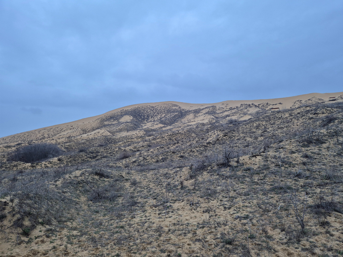 Бархан Сарыкум  | Личное фото