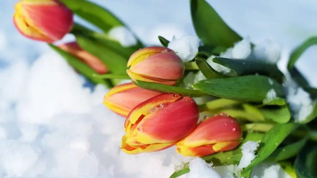    Фото: shutterstock