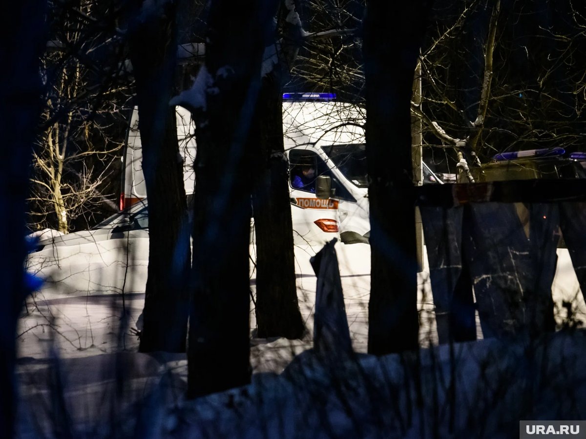     Лобовое столкновение с автобусом унесло жизни двух человек в Ленобласти
