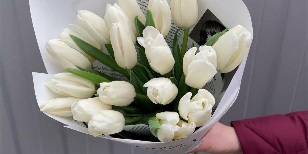 ИП из Беларуси вырастил 25.000 тюльпанов к 8 марта!