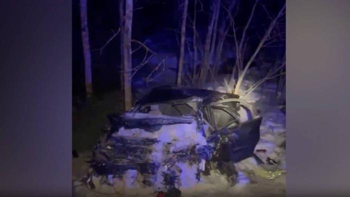 Обложка © MAX / МЧС Ленинградской области