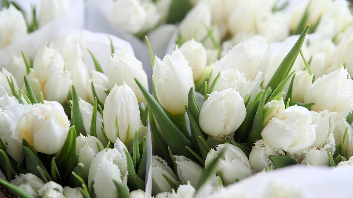    Фото: Василий Кузьмиченок / АГН Москва