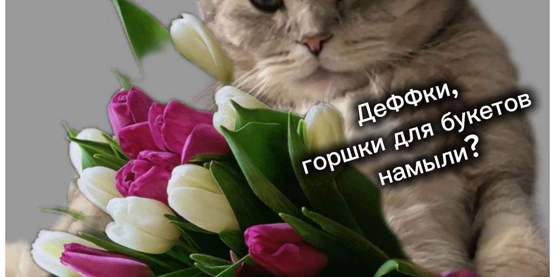 С нашим днём, мои дорогие🌹