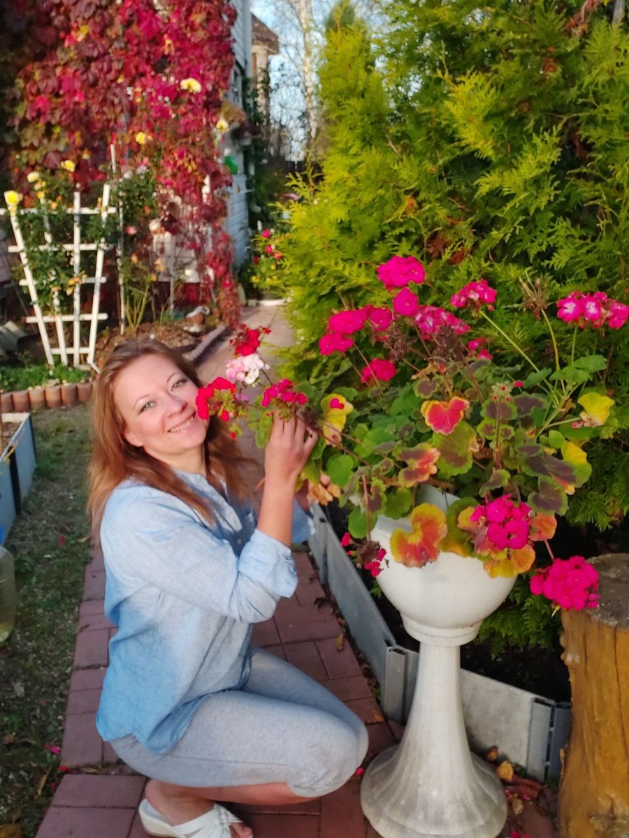 Пеларгония в моем саду