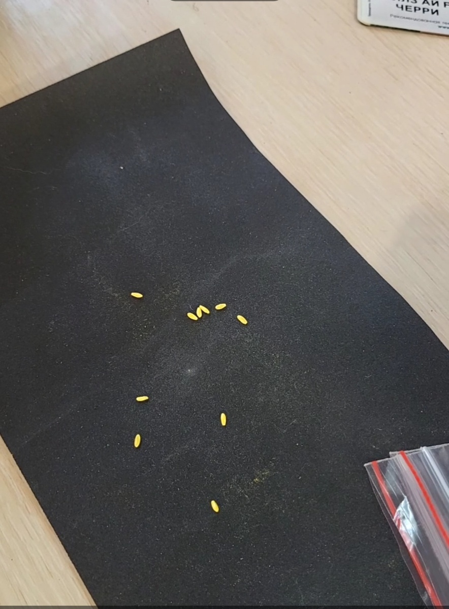 Высыпаю семена на наждачную бумагу