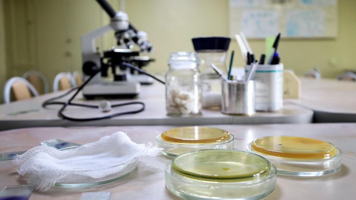    Фото: Global Look Press