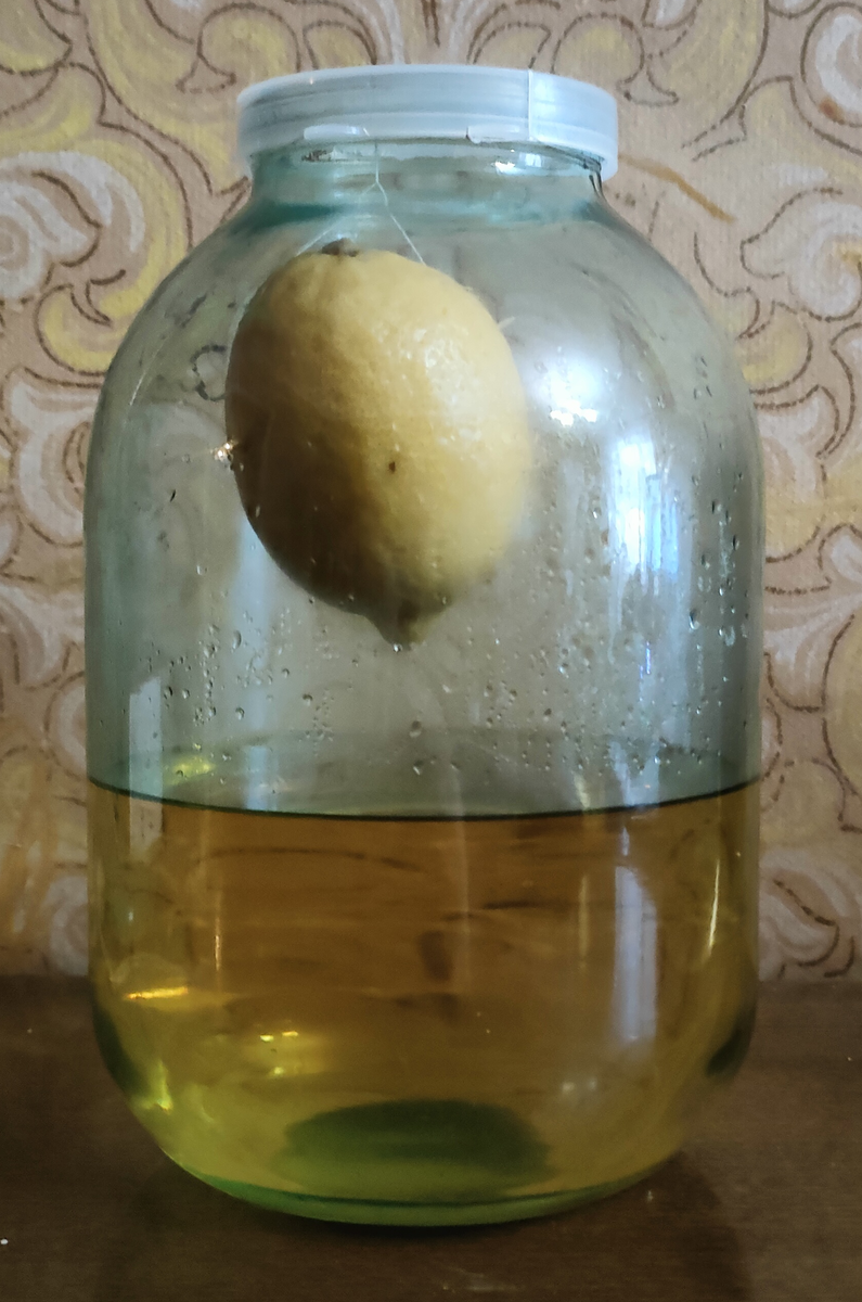 Висельник на лимоне на самогоне 6 месяцев выдержки в дубовой бочке