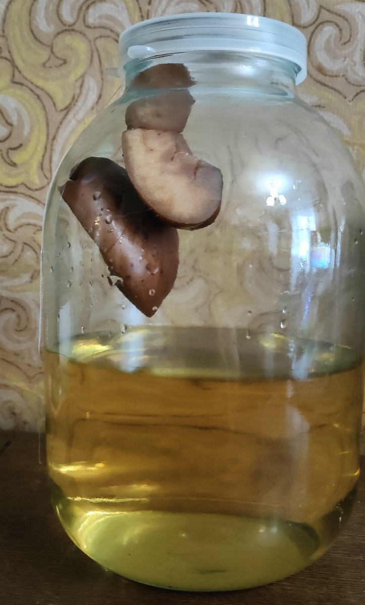 Висельник на яблоке 2 недели на самогоне 6 месяцев выдержки в дубовой бочке