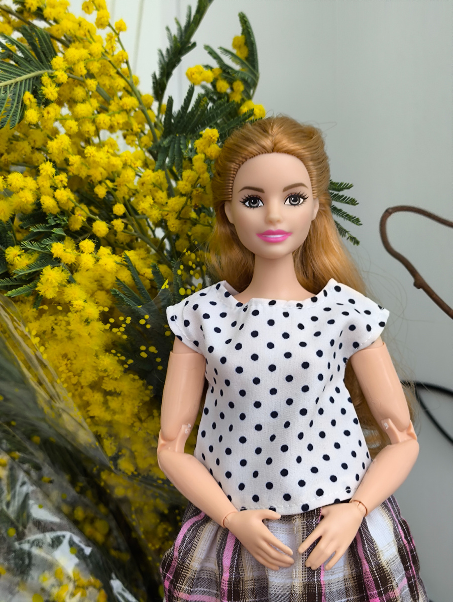 Шарлотта с мимозой