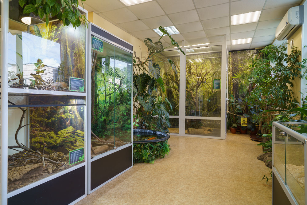 Костромской экзотариум