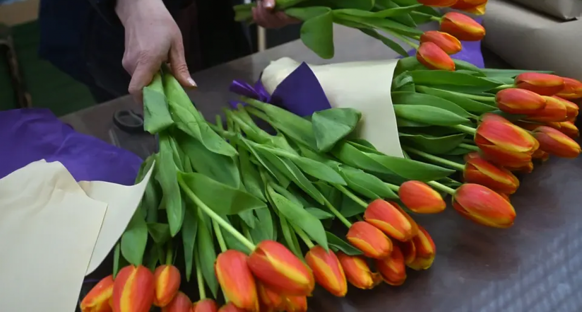    Фото: Евгения ГУСЕВА с сайта s13.stc.yc.kpcdn.net