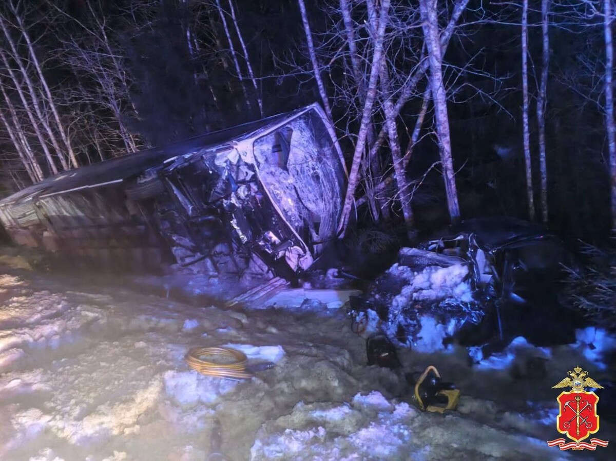     / Источник: © Официальный телеграм-канал ГУ МВД России по г. Санкт-Петербургу и Ленинградской области