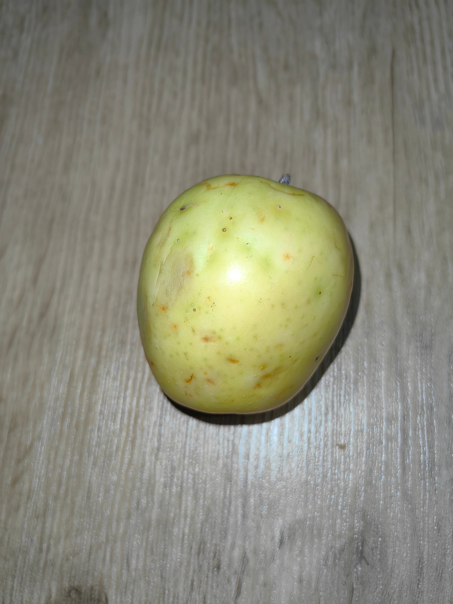Точки, которые наметились на яблоке, приводят затем к горечи и гнили. Фото Натальи Мироновой