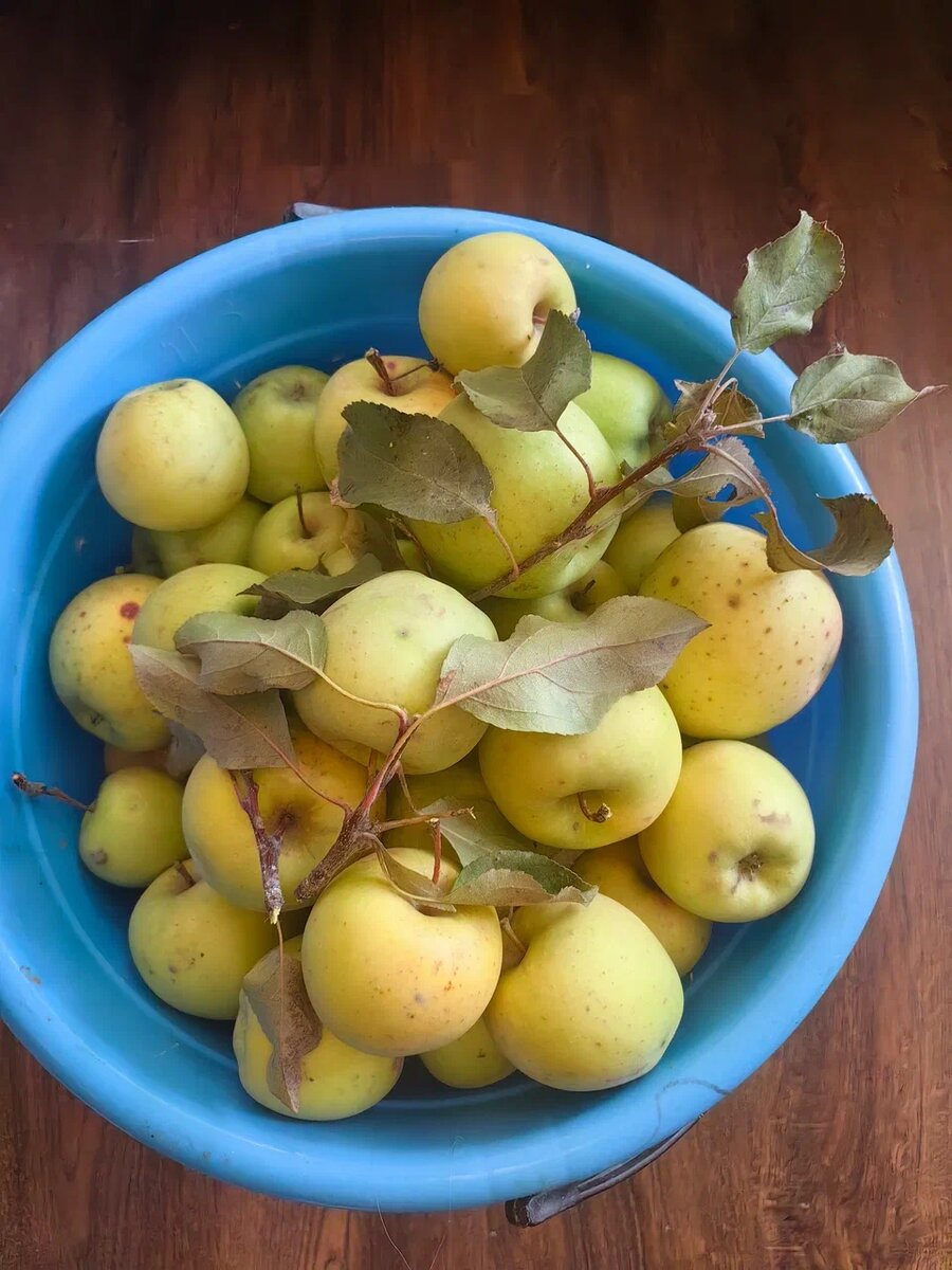 Фото Натальи Мироновой