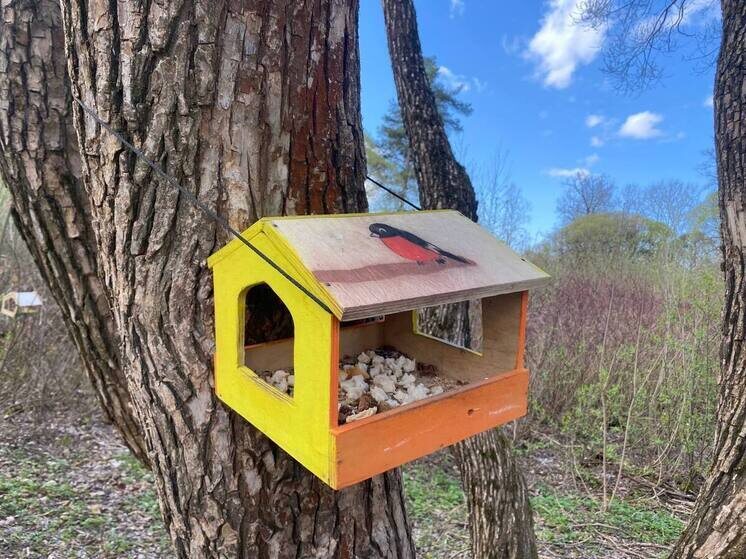     Также можно обклеить коробку сосновыми шишками. Фото из архива "МК в Питере"