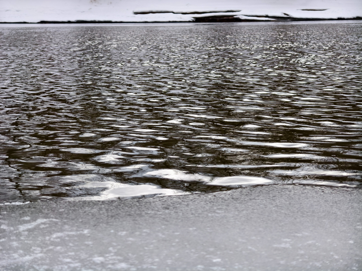 Весенние воды