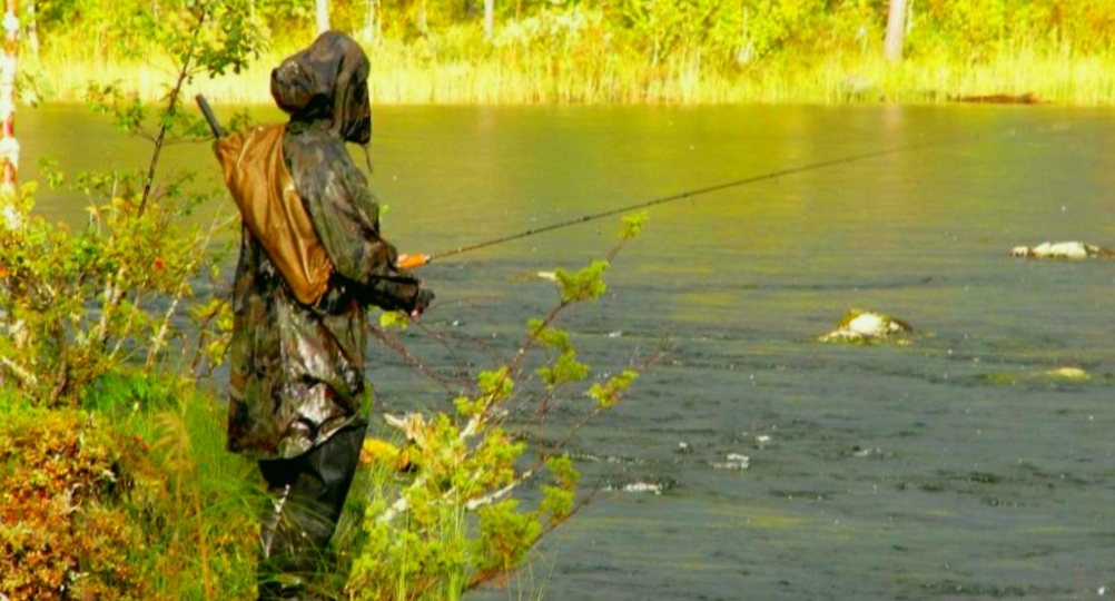 Камуфляж на рыбалке: почему популярная расцветка может стоить жизни - 3 факта, которые меняют взгляд на экипировку