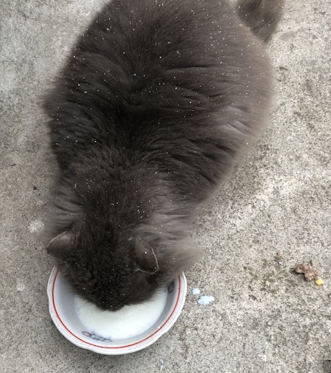 6 марта. День выходной, дела домашние.