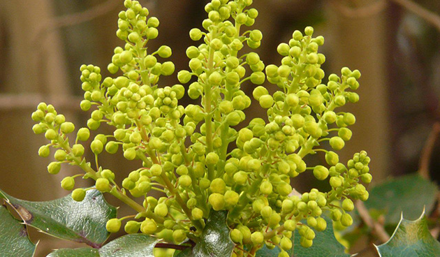    Фото: pixabay.com