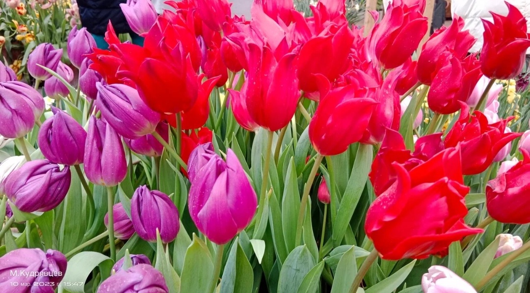 Фото автора 