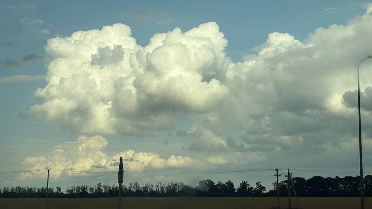    Фото: телеканал «Краснодар»