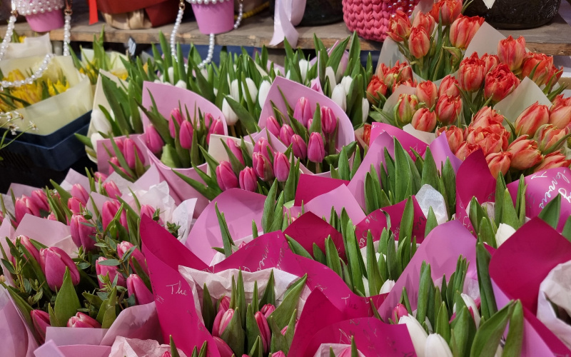    Ирина Яковлева