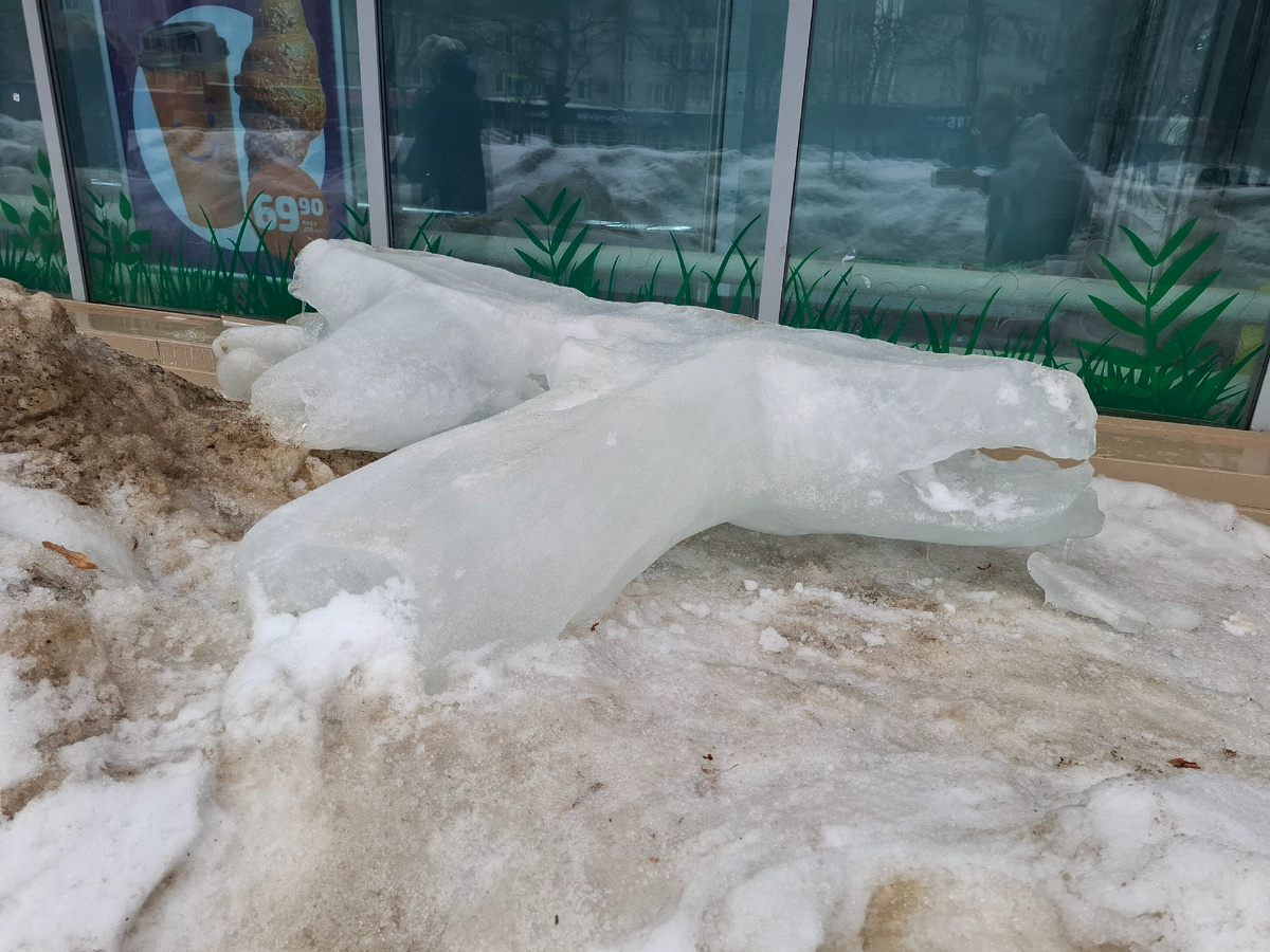 Вот вам творение природы :) ну красота ж?