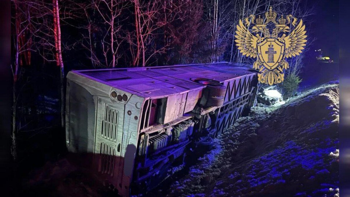    Фото: t.me/prok_lenobl